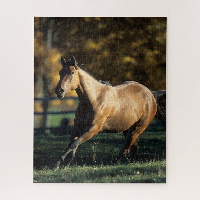 Bob Langrish | Dun Quarter Horse Running Jigsaw Puzzle (Vertical)