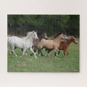 Bob Langrish   Four Ponies Running Together Jigsaw Puzzle