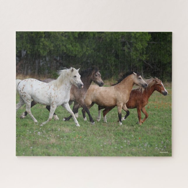 Bob Langrish | Four Ponies Running Together Jigsaw Puzzle (Horizontal)