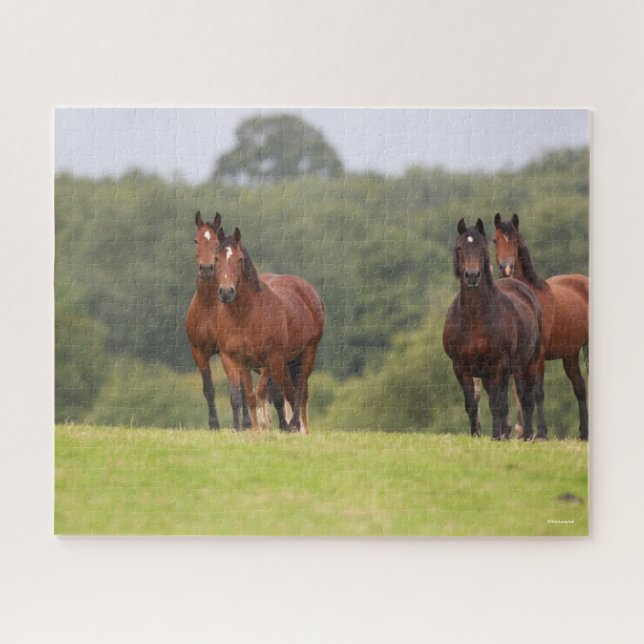 Bob Langrish | Four Welsh Ponies Standing Together Jigsaw Puzzle (Horizontal)