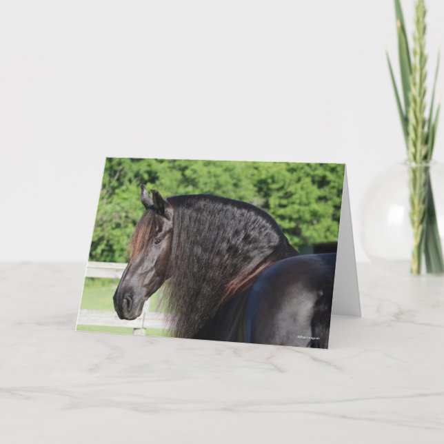 Bob Langrish | Friesian Horse Standing headshot Card (Front)