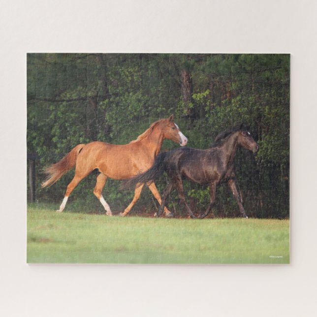 Bob Langrish | German Riding Pony And Oldenburg Jigsaw Puzzle (Horizontal)