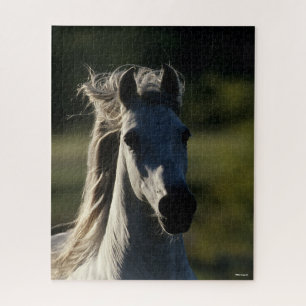 Bob Langrish   Grey Andalucian Headshot Backlit Jigsaw Puzzle