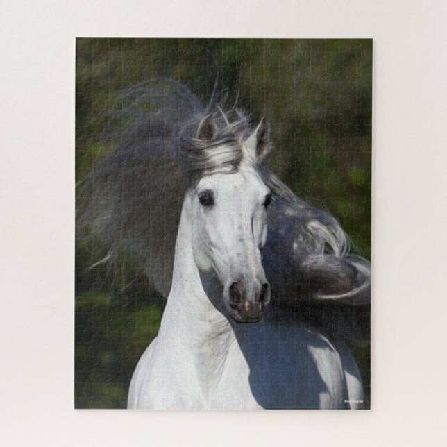 Bob Langrish Grey Andalucian headshot Mane Flowing Jigsaw Puzzle (Vertical)