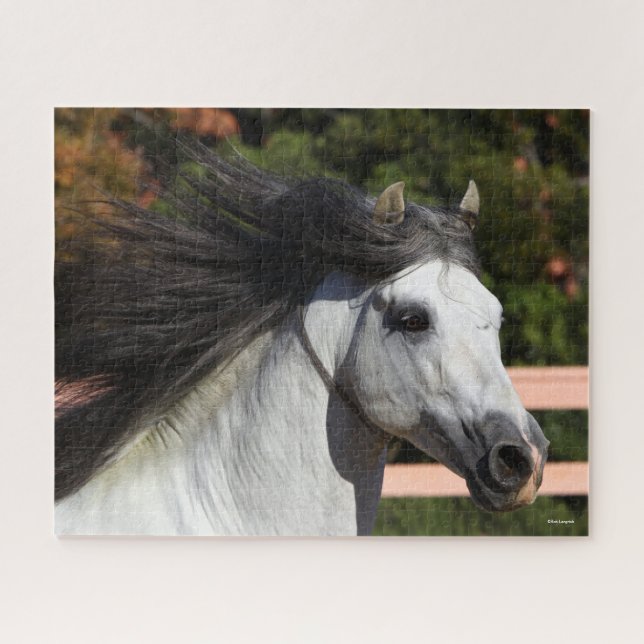 Bob Langrish | Grey Andalucian Stallion Headshot 3 Jigsaw Puzzle (Horizontal)