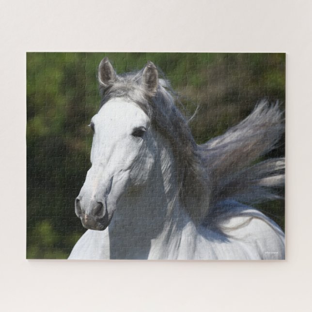 Bob Langrish | Grey Andalucian Stallion Headshot Jigsaw Puzzle (Horizontal)