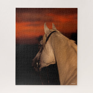 Bob Langrish Grey Arab headshot At Sunset Jigsaw Puzzle