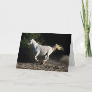 Bob Langrish   Grey Arab Mare Running Card
