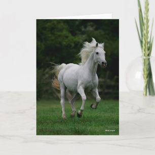 Bob Langrish Grey Arab Running Card
