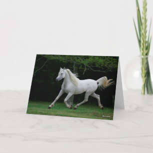 Bob Langrish Grey Arab Running Card