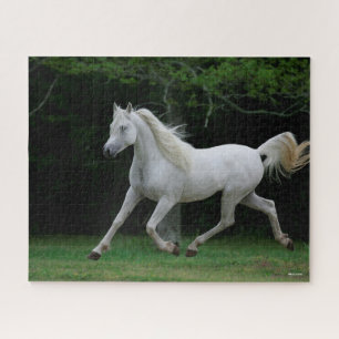 Bob Langrish   Grey Arab Running Jigsaw Puzzle