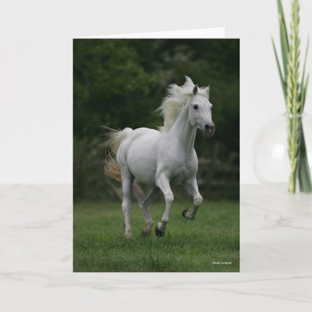 Bob Langrish | Grey Arab Running Mane Flowing Card (Front)