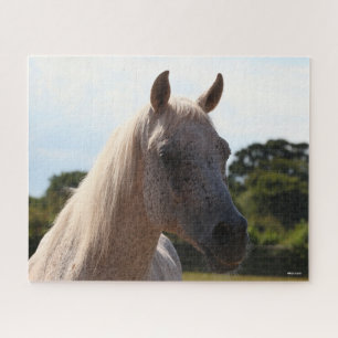 Bob Langrish   Grey Arab Stallion Headshot Backlit Jigsaw Puzzle