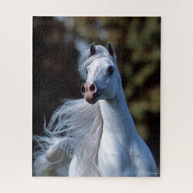 Bob Langrish | Grey Arab Stallion Headshot Jigsaw Puzzle (Vertical)