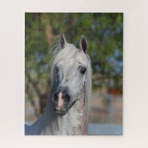 Bob Langrish Grey Arab Stallion Headshot Jigsaw Puzzle