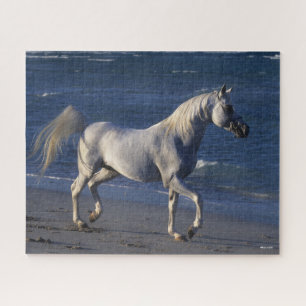 Bob Langrish   Grey Arab Stallion Walking On Beach Jigsaw Puzzle