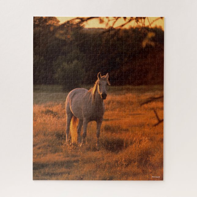 Bob Langrish | Grey Arab Standing at Sunset Jigsaw Puzzle (Vertical)