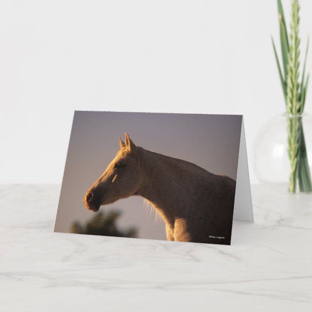 Bob Langrish | Grey Arab Standing Backlit Headshot Card (Front)