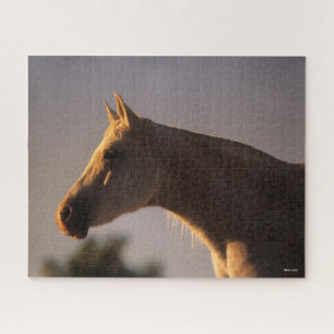 Bob Langrish   Grey Arab Standing Backlit Headshot Jigsaw Puzzle