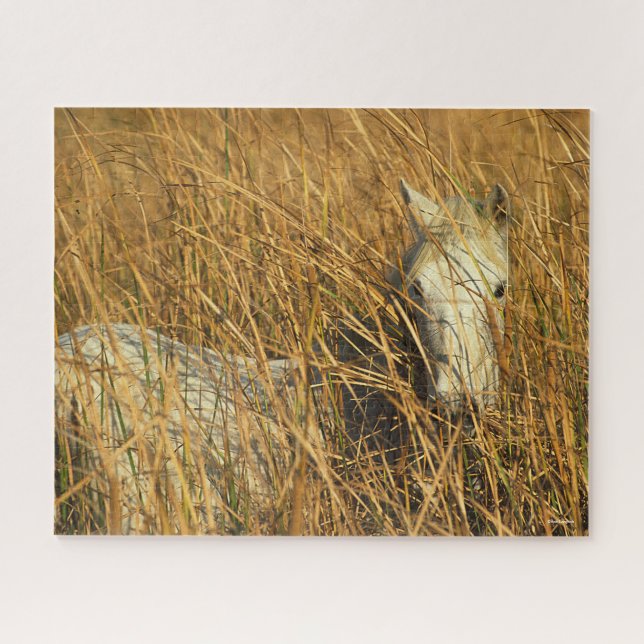 Bob Langrish | Grey Camargue Pony Lying In Reeds Jigsaw Puzzle (Horizontal)