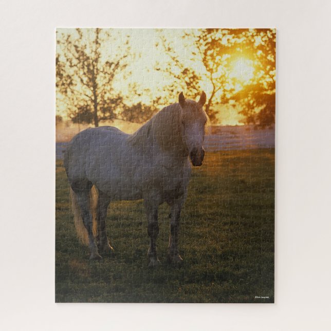 Bob Langrish | Grey Percheron Standing In Sunset Jigsaw Puzzle (Vertical)