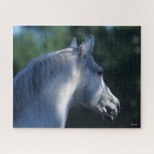Bob Langrish Grey Trakehner Stallion Headshot Jigsaw Puzzle