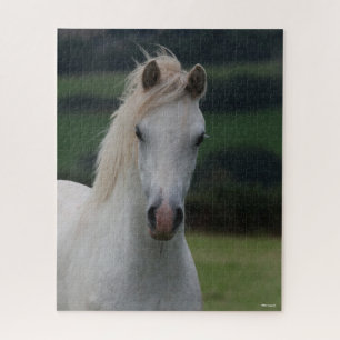 Bob Langrish   Grey Welsh Pony Headshot Jigsaw Puzzle