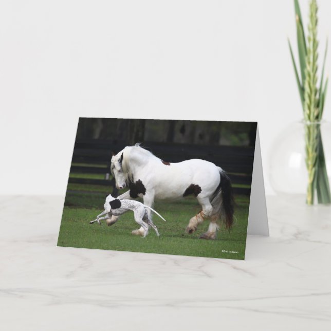 Bob Langrish Gypsy Vanner and Dog Running Together Card (Front)