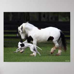 Bob Langrish Gypsy Vanner and Dog Running Together Poster