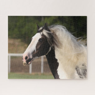 Bob Langrish Gypsy Vanner Headshot Jigsaw Puzzle