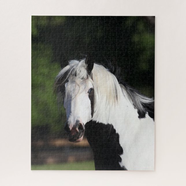 Bob Langrish | Gypsy Vanner Horse Headshot Jigsaw Puzzle (Vertical)