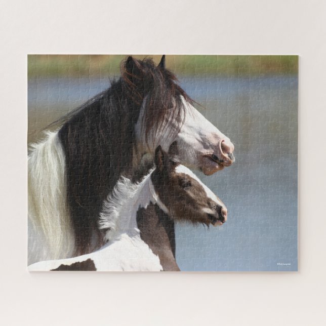 Bob Langrish | Gypsy Vanner Mare and Foal Headshot Jigsaw Puzzle (Horizontal)