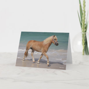 Bob Langrish   Haflinger Walking On The Beach Card