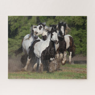 Bob Langrish Herd Gypsy Vanners Running Jigsaw Puzzle