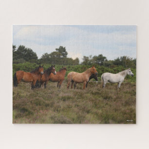 Bob Langrish   Herd New Forest Ponies Standing Jigsaw Puzzle