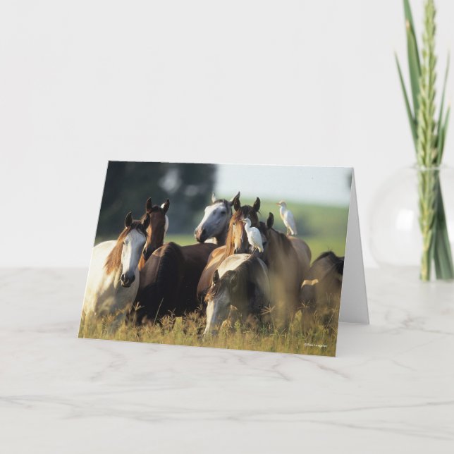 Bob Langrish | Herd Of Horses Standing With Birds Card (Front)