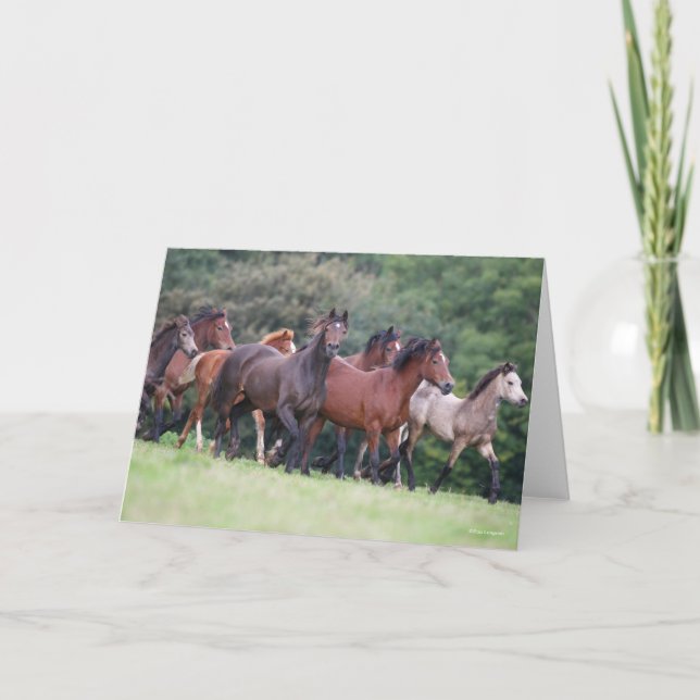 Bob Langrish | Herd of Welsh Ponies In Field Card (Front)