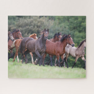 Bob Langrish   Herd of Welsh Ponies In Field Jigsaw Puzzle