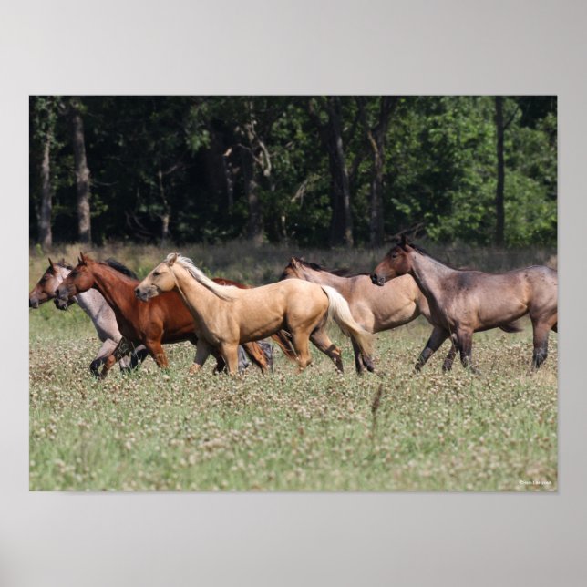 Bob Langrish | Herd Quarter Horses Walking Poster (Front)