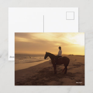 Bob Langrish   Horse and Rider On Beach at Sunset Postcard