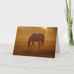 Bob Langrish   Horse Grazing Sunrise Card