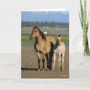Bob Langrish Kiger Mustang Mare and Foal Standing Card