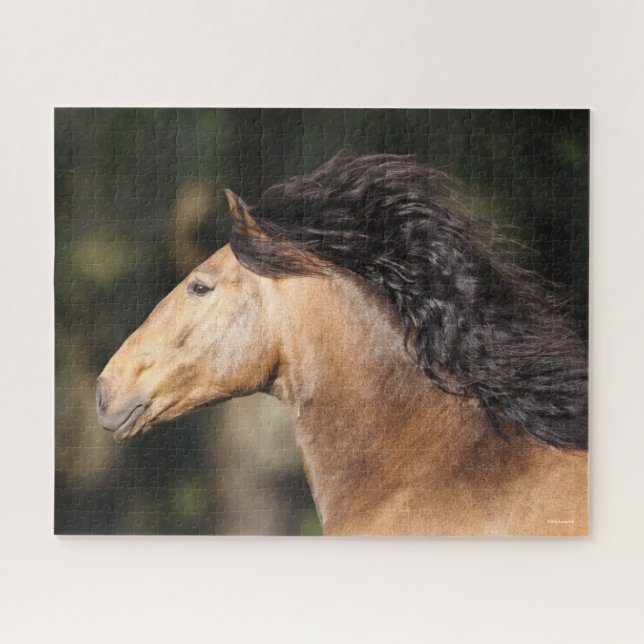 Bob Langrish | Lusitano Headshot Mane Flowing Jigsaw Puzzle (Horizontal)