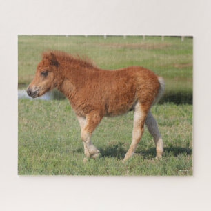 Bob Langrish Miniature Foal Walking Jigsaw Puzzle