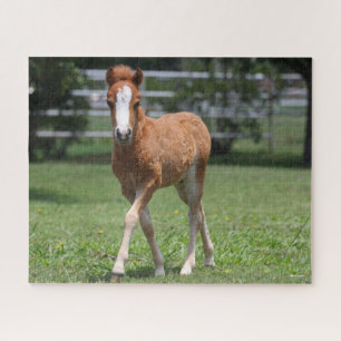 Bob Langrish Miniature Pony Foal Walking Jigsaw Puzzle