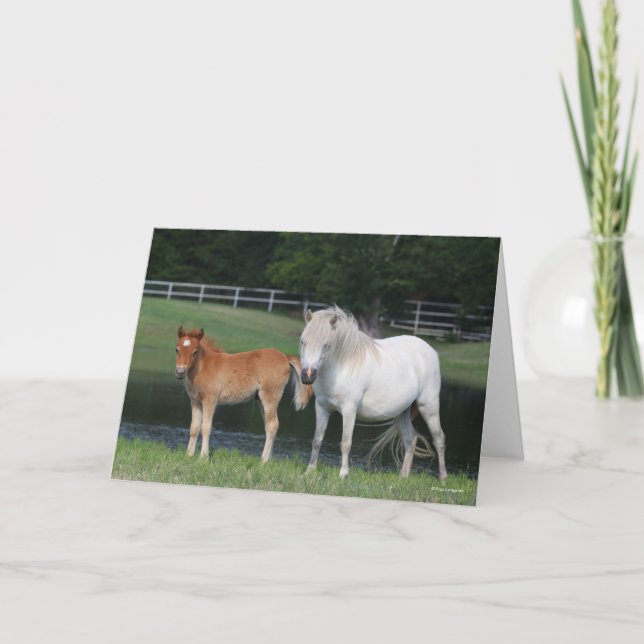 Bob Langrish Miniature Pony Mare and Foal Standing Card (Front)