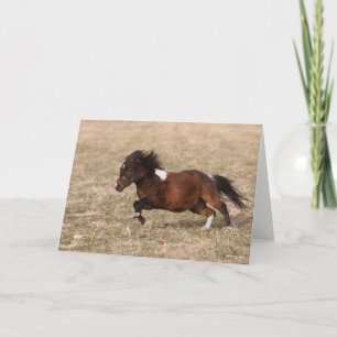 Bob Langrish   Miniature Pony Running Fast Card