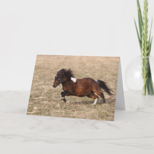 Bob Langrish | Miniature Pony Running Fast Card (Front)