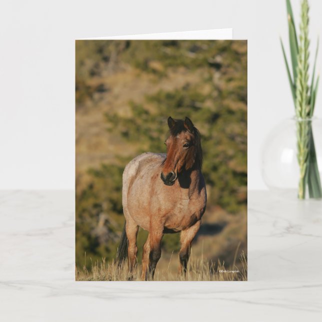 Bob Langrish | Mustang Horse Standing Card (Front)