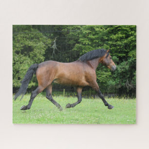Bob Langrish   New Forest Pony Stallion Jigsaw Puzzle